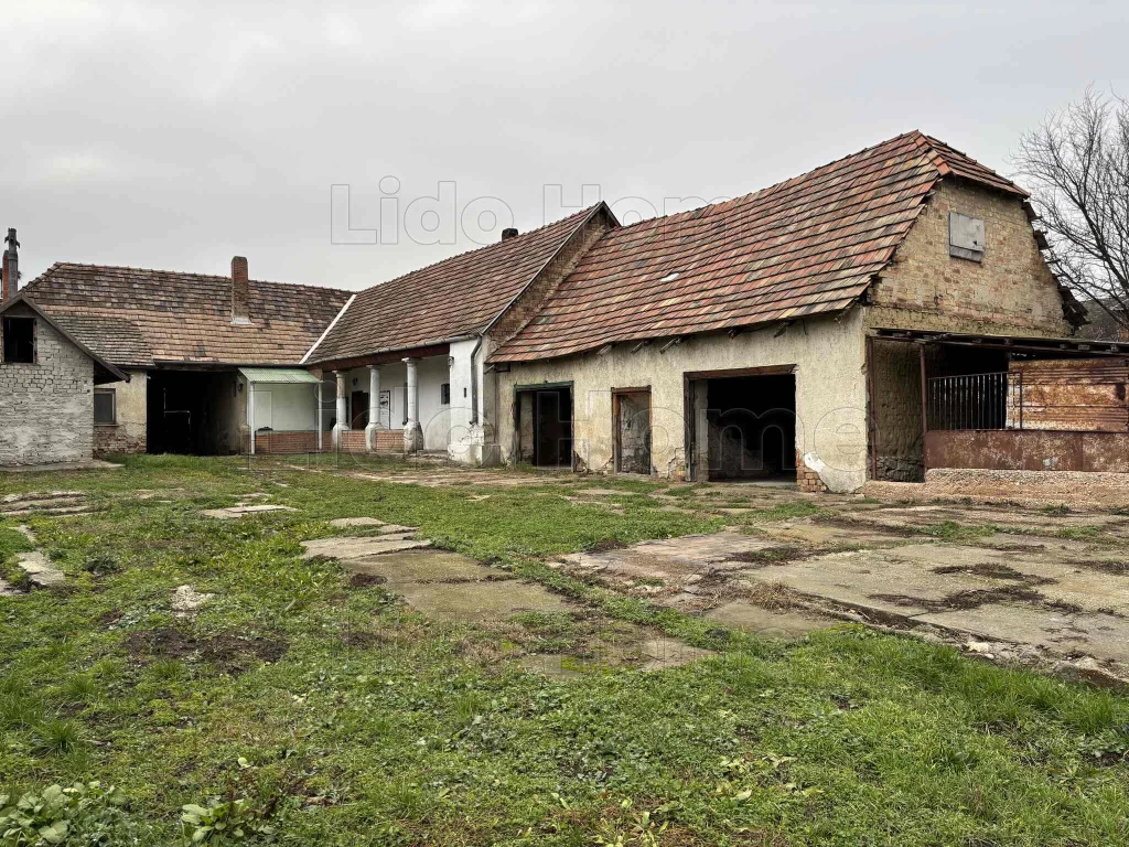 For sale house, Tarján