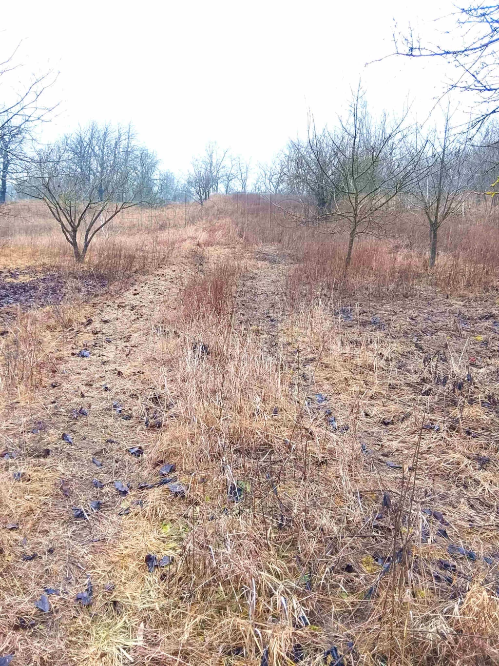 For sale building plot, Óbarok