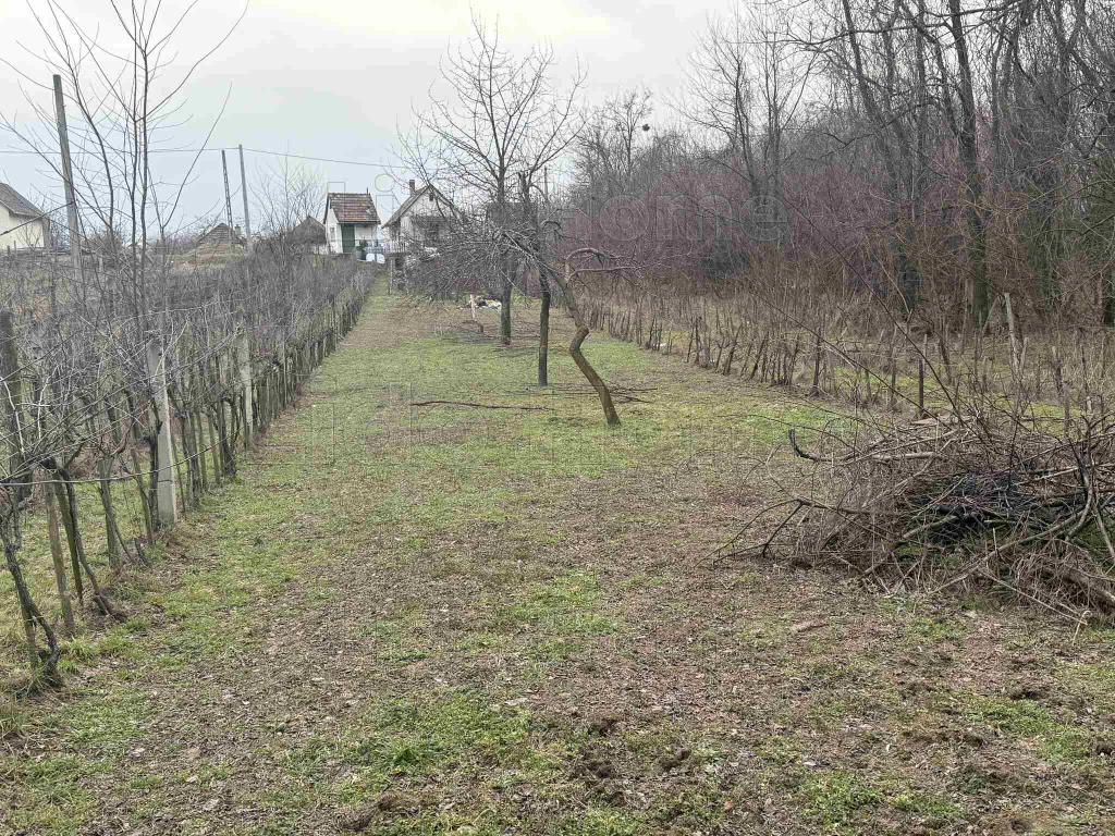 For sale orchard, Kisbér