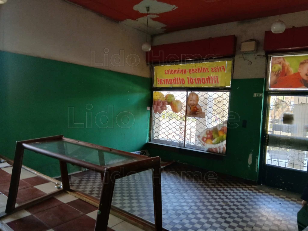 c3-1-name c2-69-name, Tatabánya