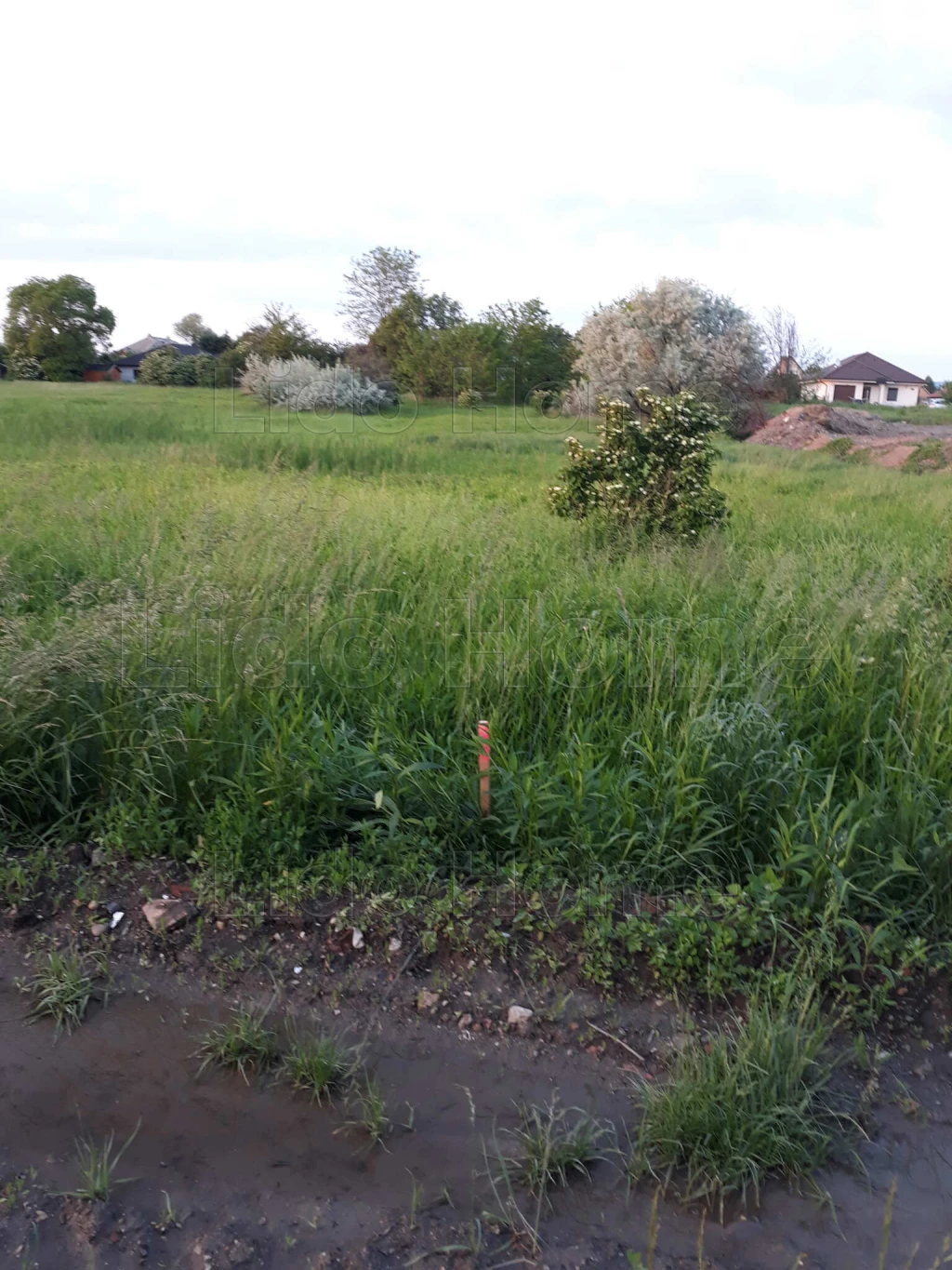 Belterületi építési telek Tatán – akár 6 telek kialakítási lehetőséggel!