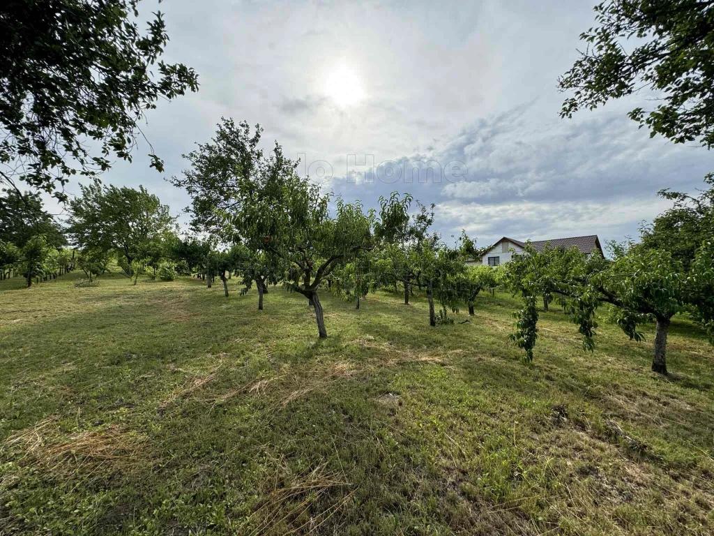 c3-1-name c2-81-name, Etyek