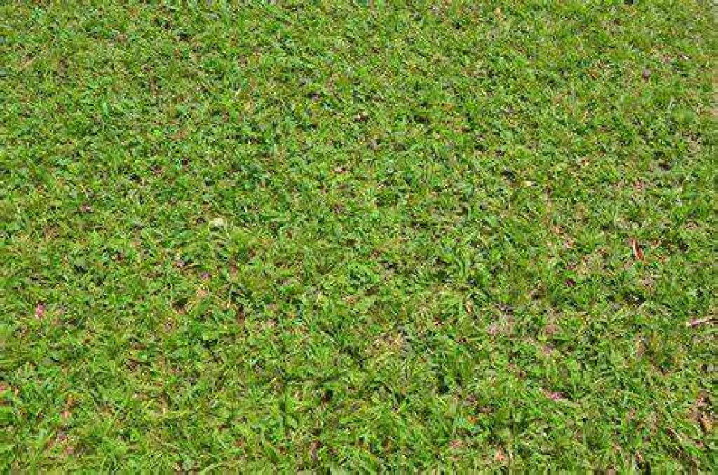 ÉPÍTÉSI TELEK A BALATON KÖZELÉBEN