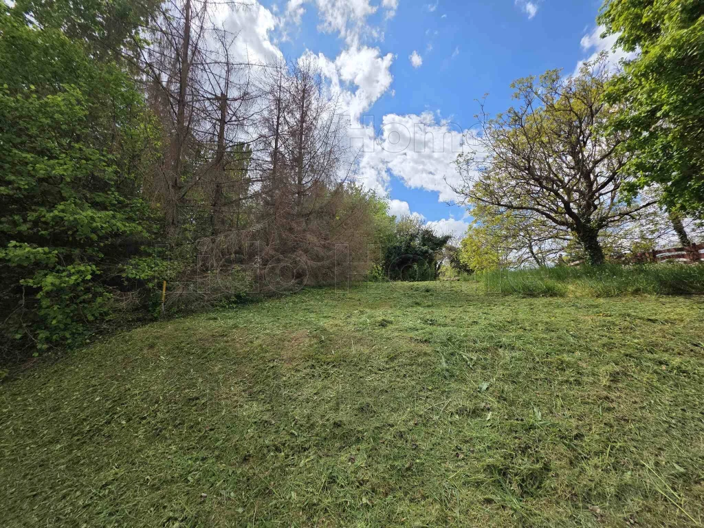 NAGY LEHETŐSÉGET REJTŐ TELEK