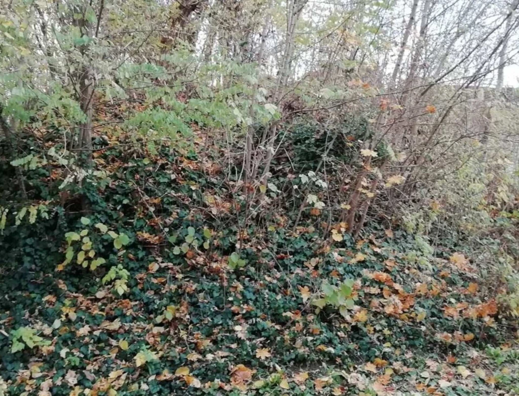 ÉPÍTÉSI TELEK CSENDES HELYEN