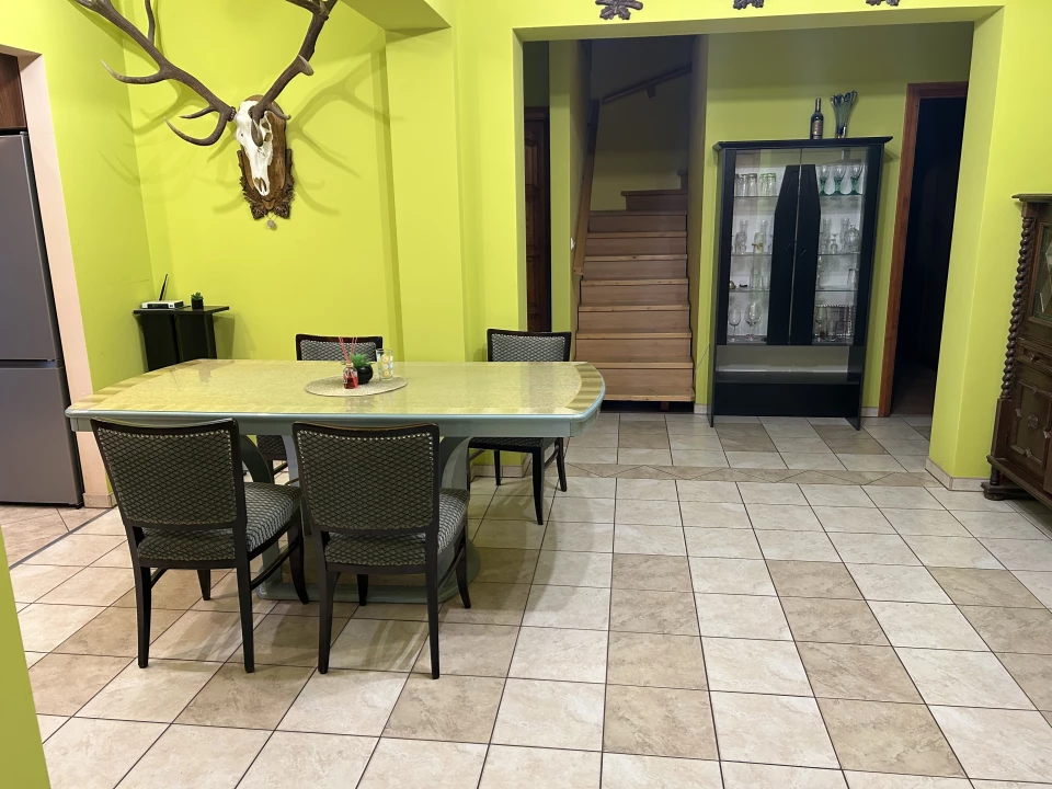 c3-1-name c2-1-name, Sándorfalva