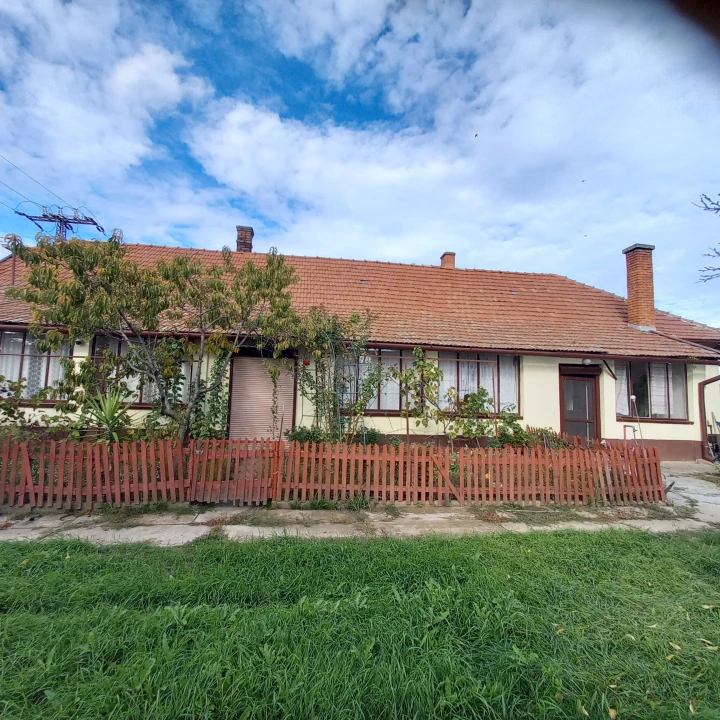 c3-1-name c2-1-name, Szarvas