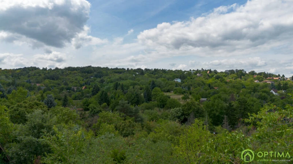 PANORÁMÁS, ZÖLDÖVEZETI TELEK
