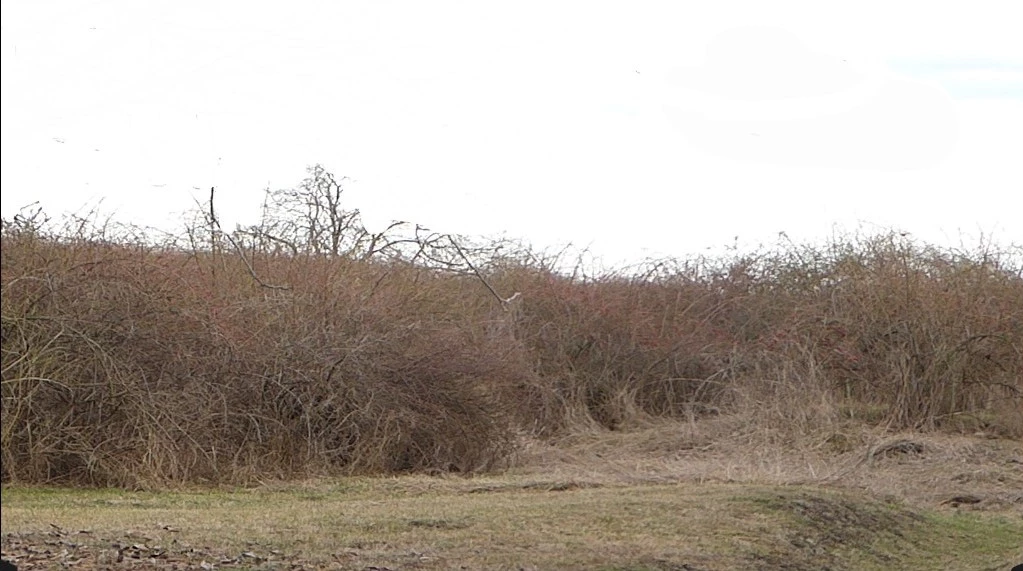 For sale building plot, Maklár