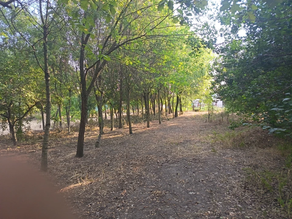 Eladó egyéb telek, Szeged