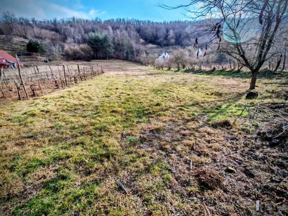 Eladó egyéb telek, Tokaj
