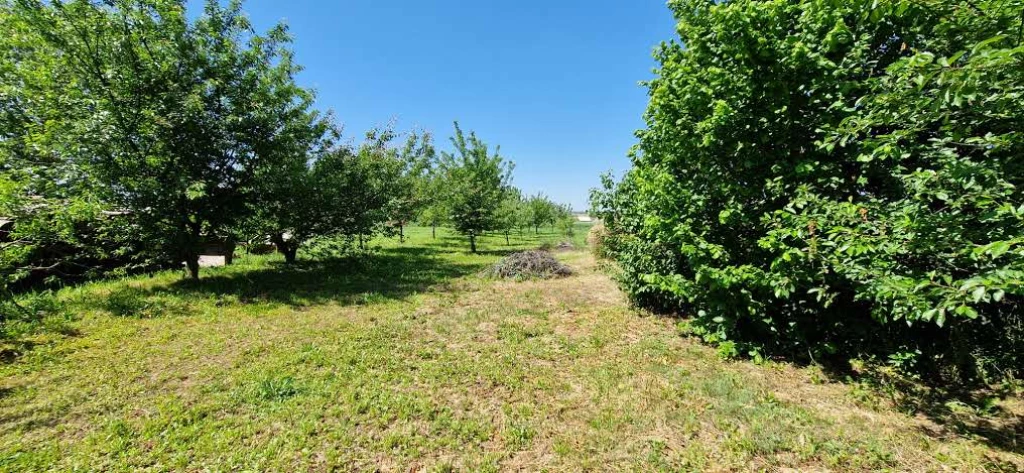 For sale building plot, Orci, Szőlőhegy