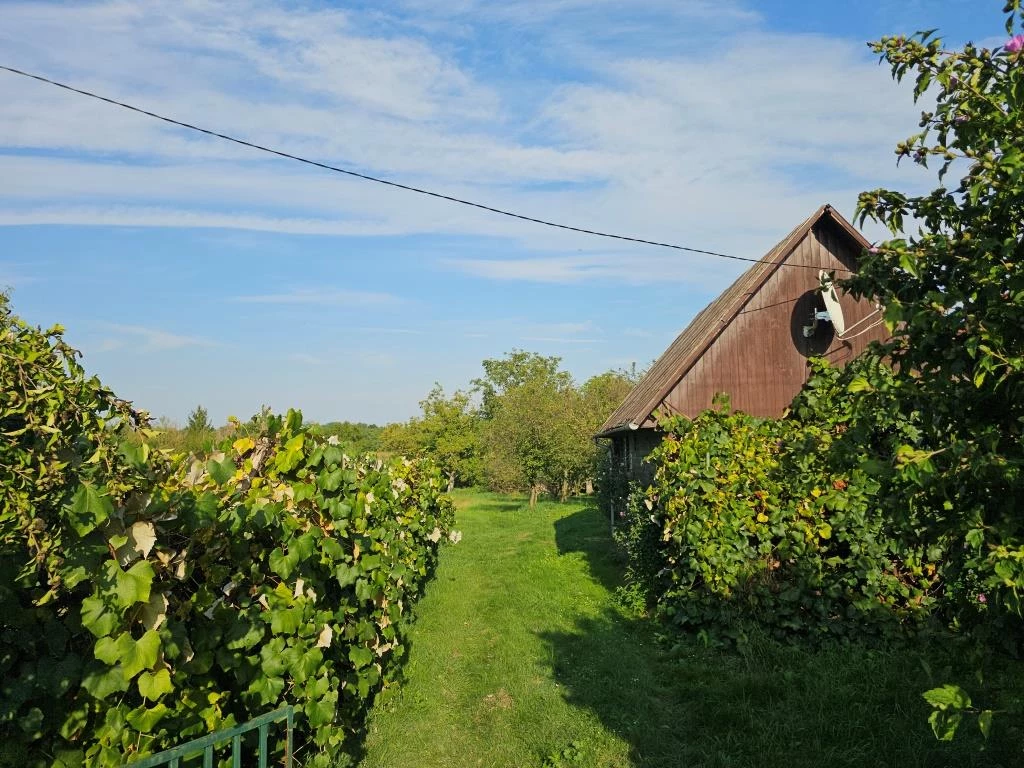 Eladó zártkert Kisasszondon, a Kispál-kerten!