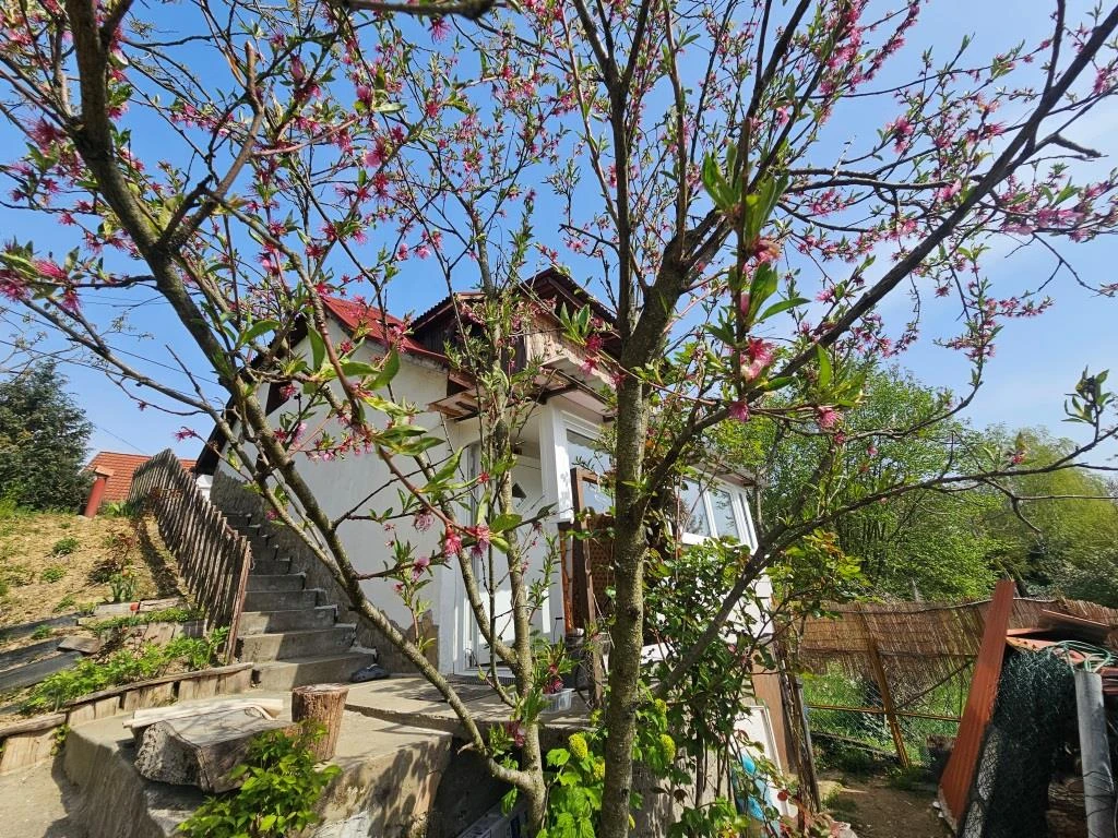 c3-1-name c2-1-name, Kaposvár, Zselickertváros, Százszorszép utca