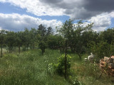 Eladó Telek
