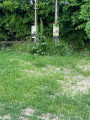 Kiadó Telek