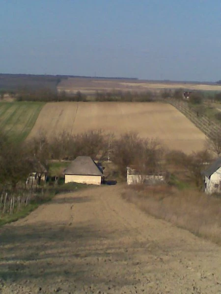 Eladó külterületi telek, Bér