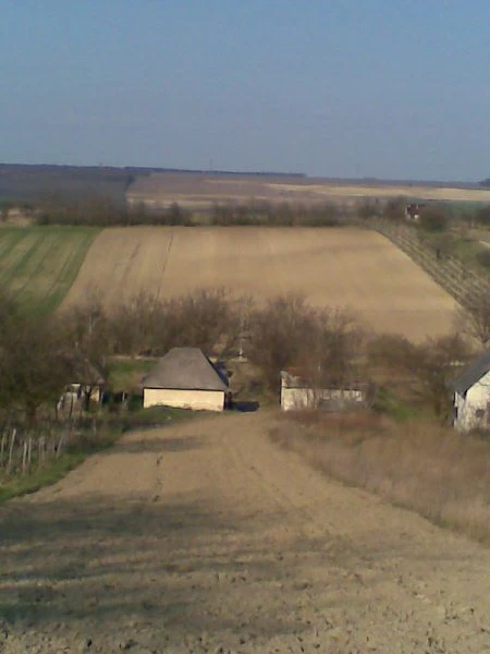 c3-1-name c2-84-name, Bér