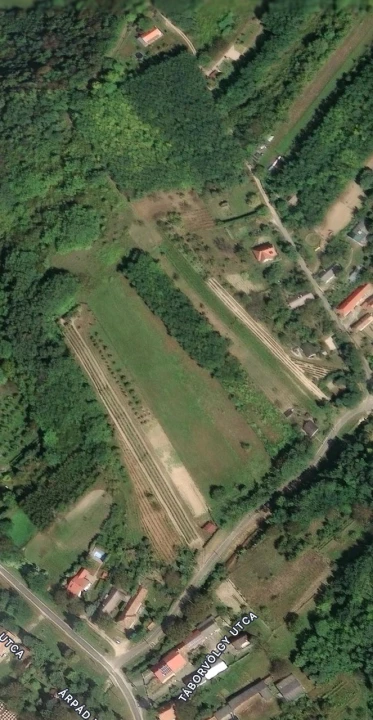 c3-1-name c2-50-name, Tényő