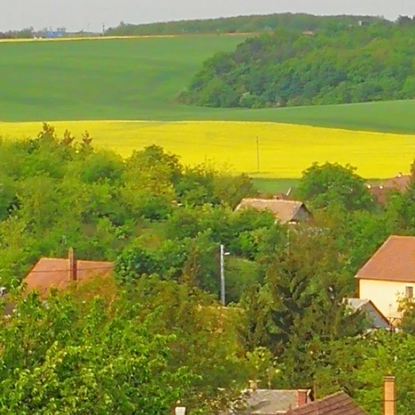 Eladó külterületi telek, Bér