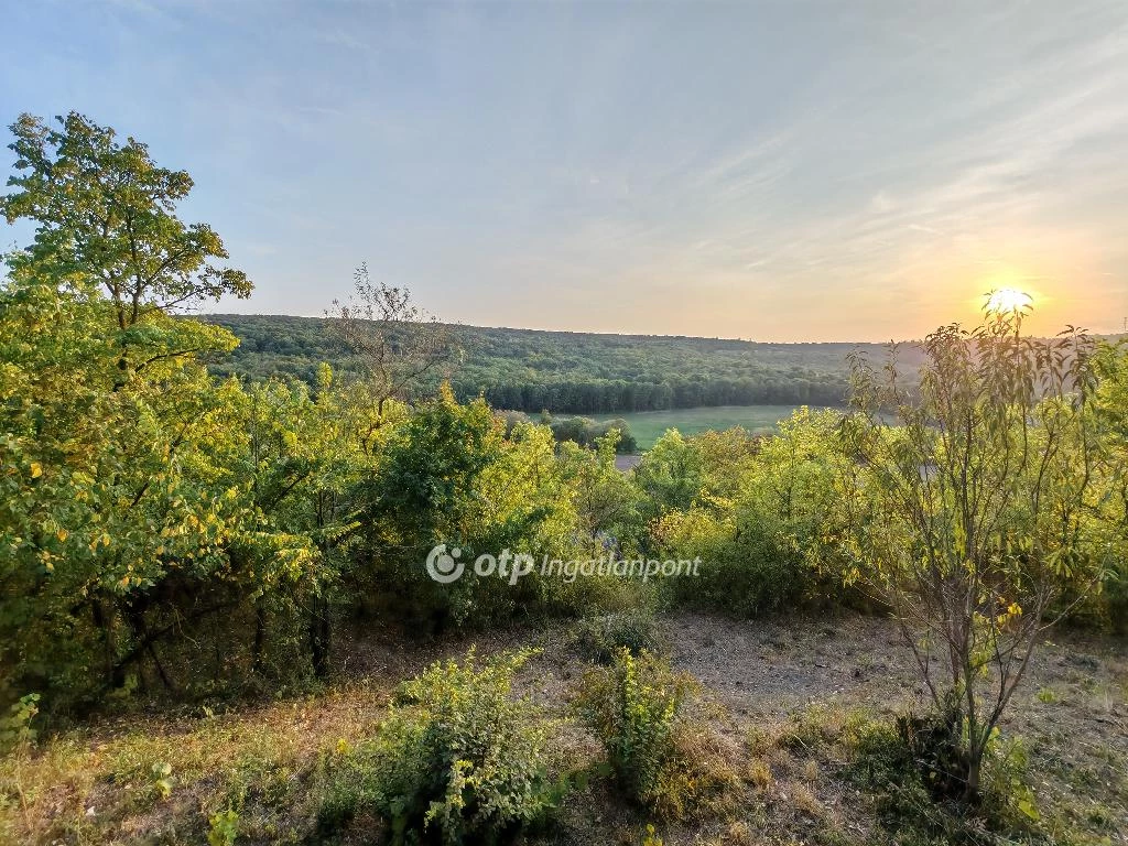 Eladó üdülő, nyaraló, Gyermely, Paphegy dülő