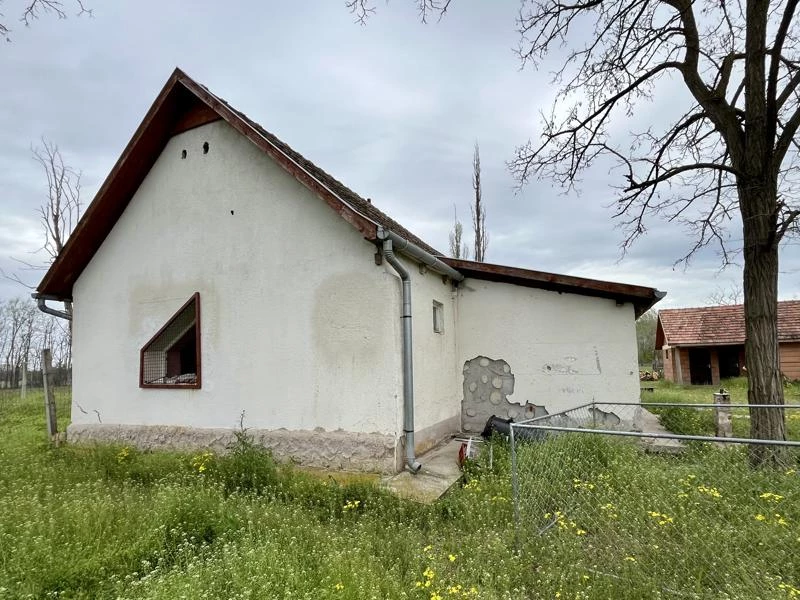 Eladó tanya, Nagykáta