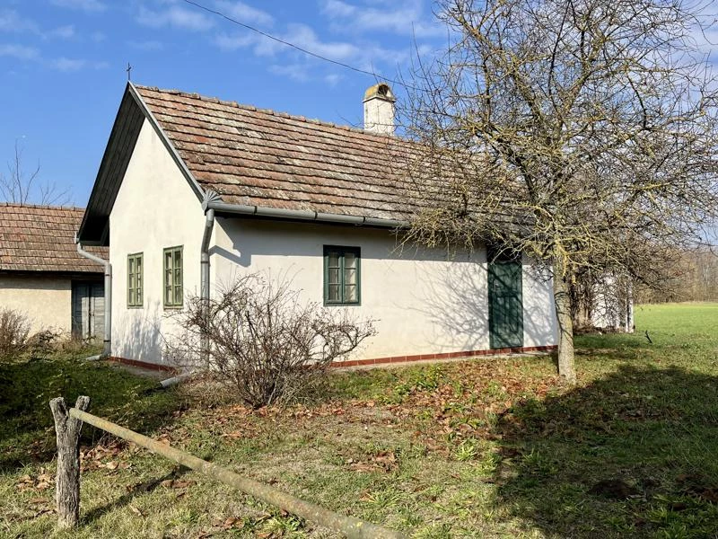 Eladó gyümölcsös, szőlő, Tápiószentmárton