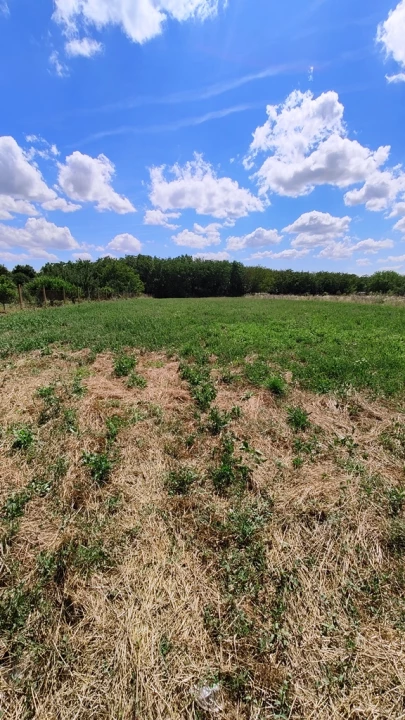 For sale periphery plot, Szeged