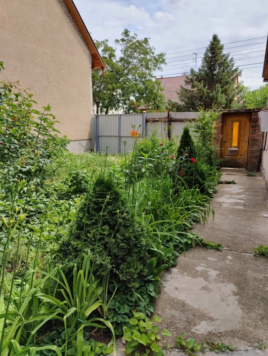 For sale house, Szeged