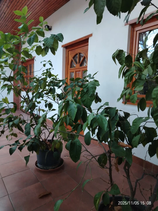 For sale house, Zsombó