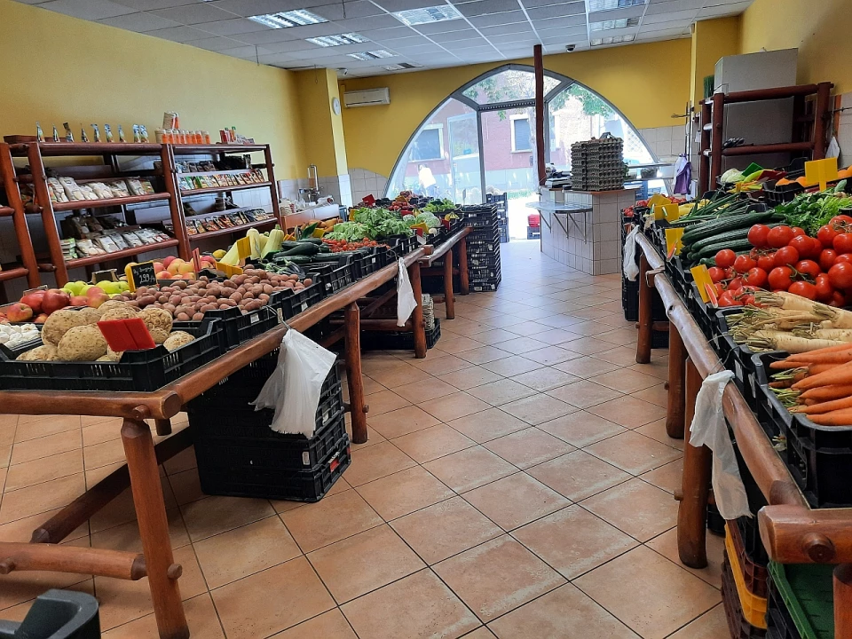 For sale store, Szeged