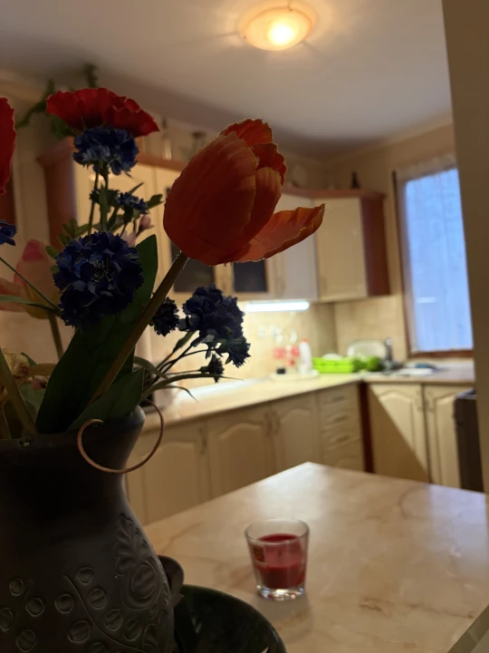 For sale house, Szeged