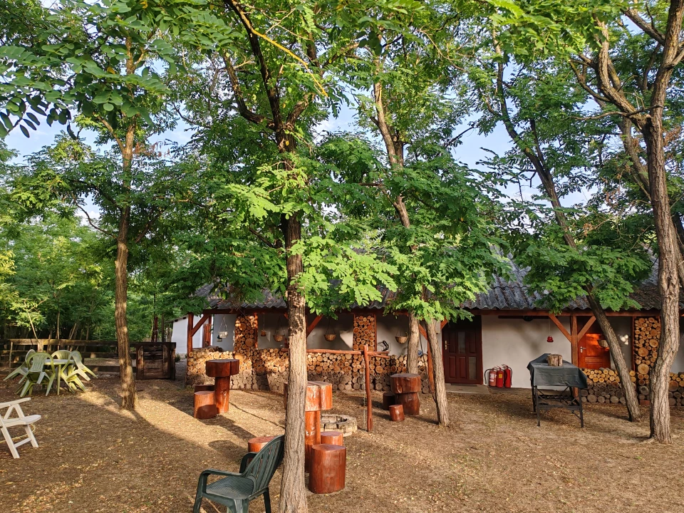 For sale grange, Bócsa