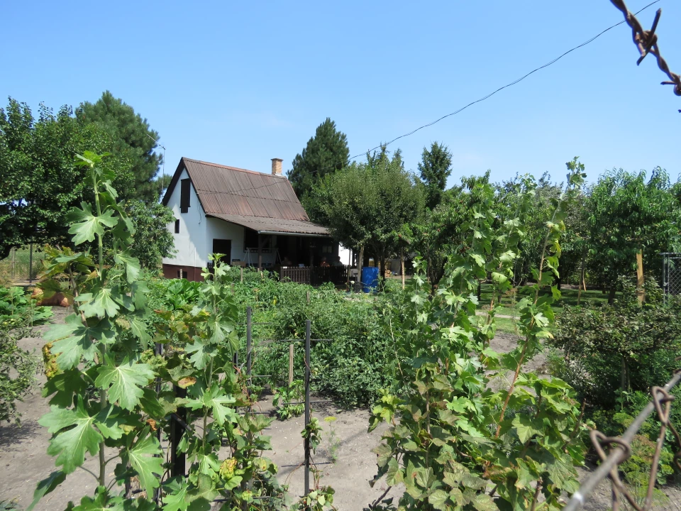 For sale weekend house, Mosonmagyaróvár