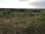Eladó szántóföld, legelő, Isaszeg