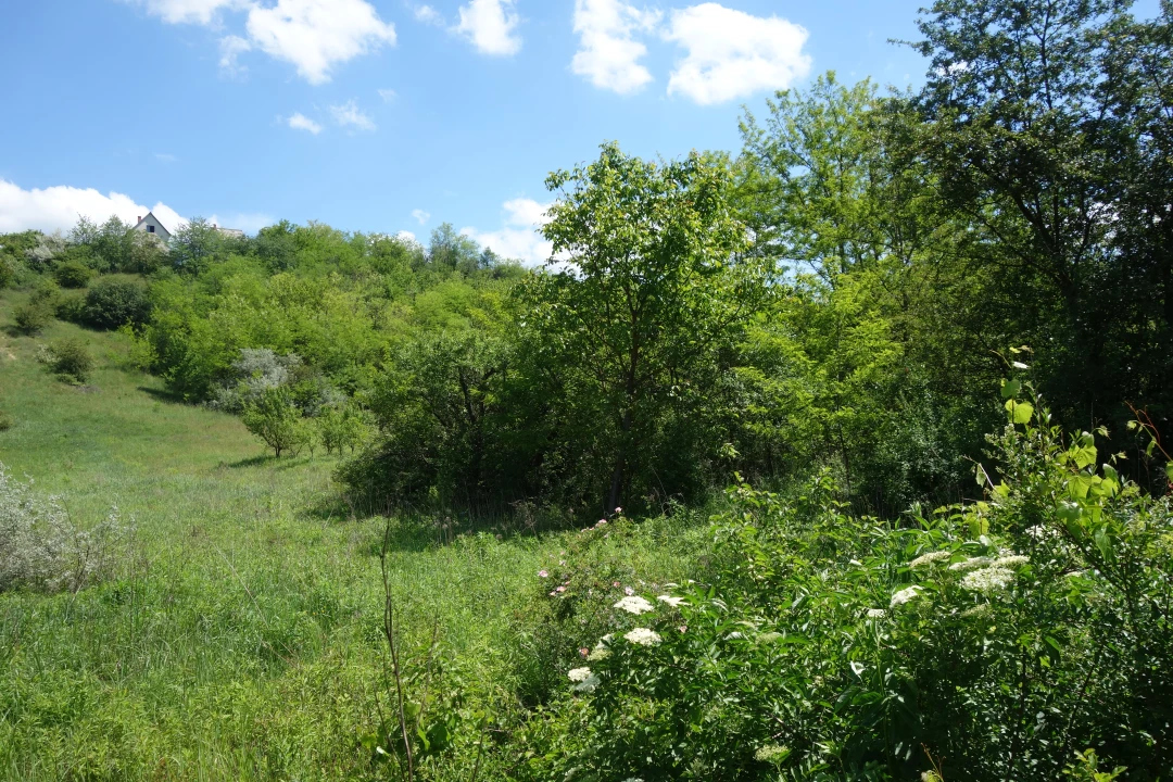 Eladó zártkert, Isaszeg