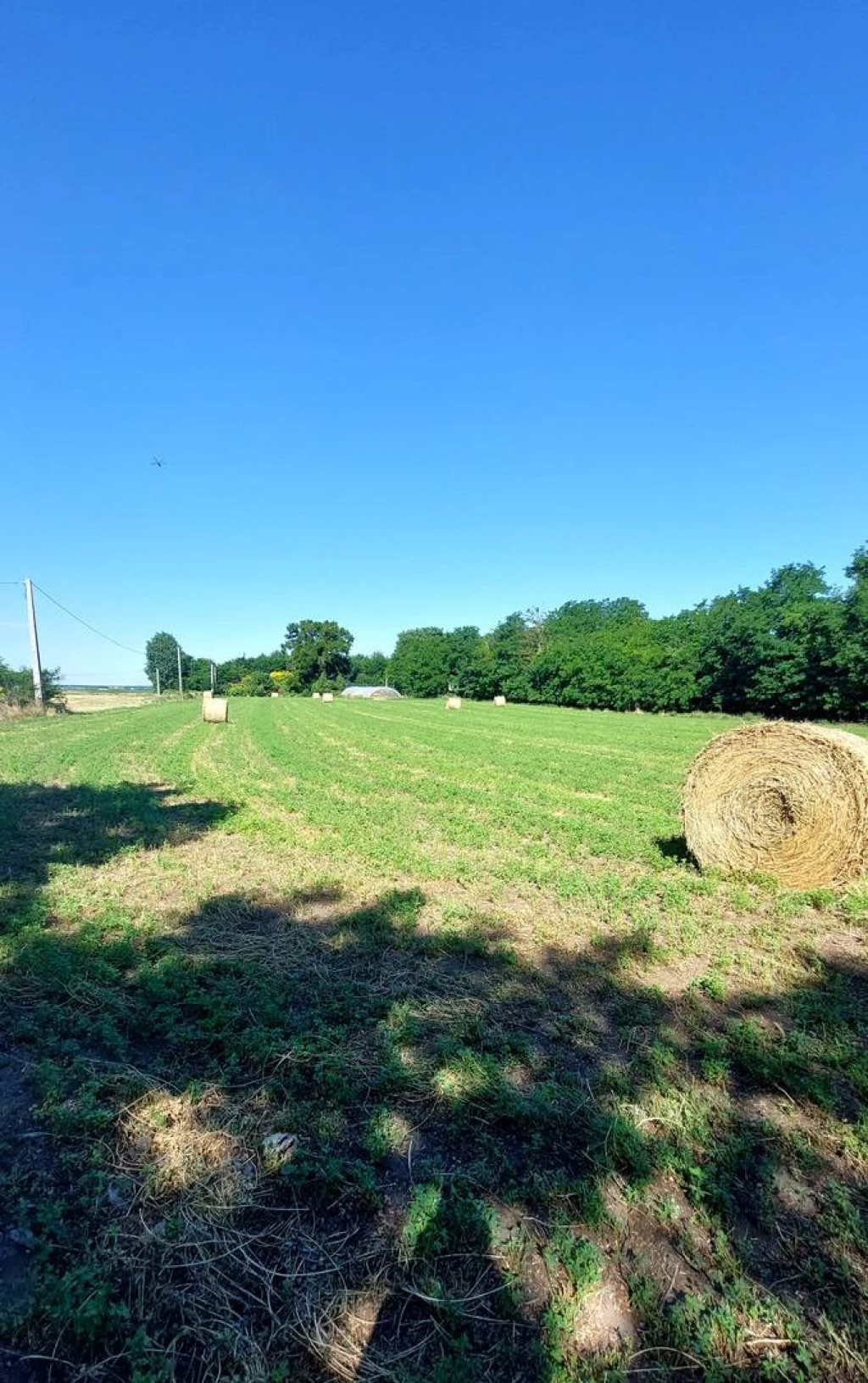 Eladó Tanya, Solt,  Nincs megadva, 50nm, 16000000 Ft