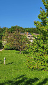 Budakeszi