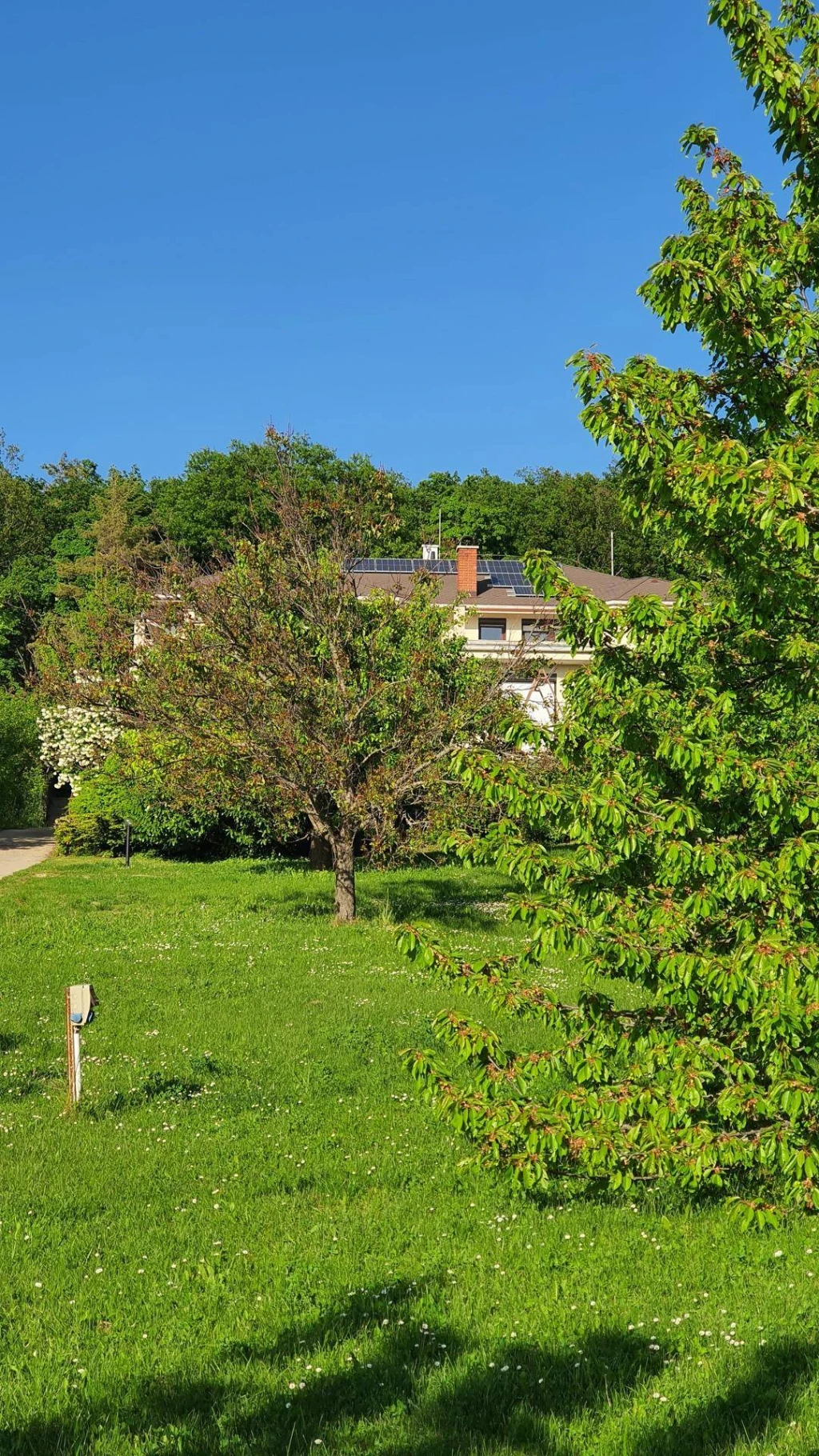 Eladó Családi ház, Budakeszi, Máriamakk, 340nm, 339000000 Ft