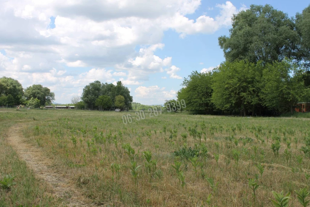 For sale periphery plot, Őrbottyán, Nincs megadva