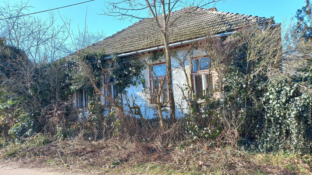 For sale house, Kenézlő