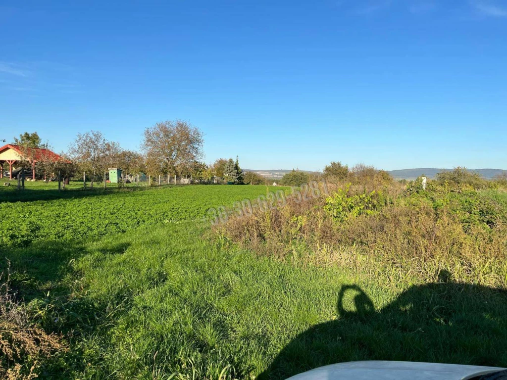 For sale periphery plot, Tata