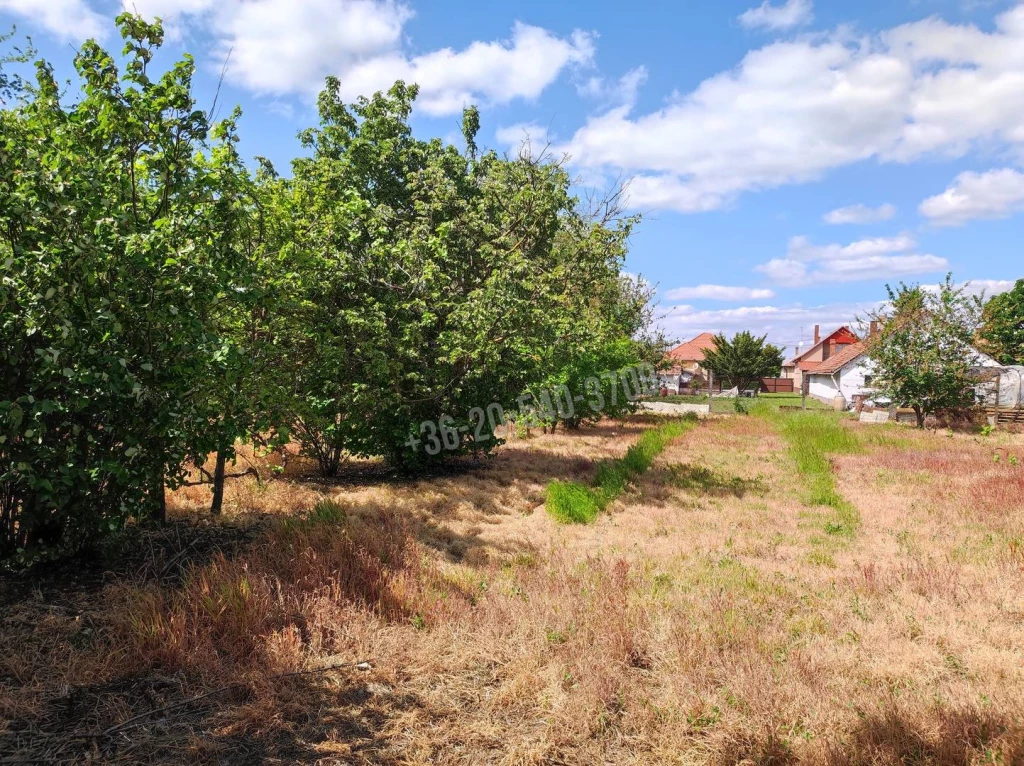 For sale building plot, Újkígyós, Gyulai út