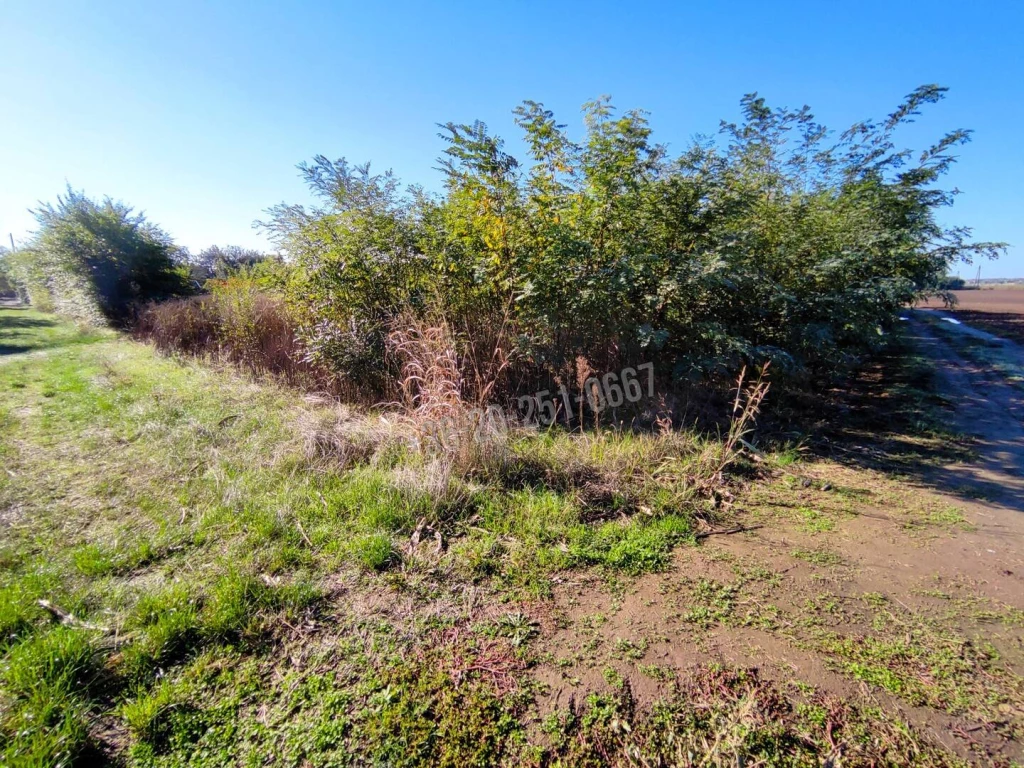 For sale building plot, Mohács