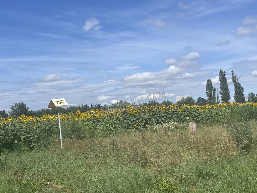 Eladó Külterületi telek, Székesfehérvár, Déli ipari zóna, 0nm, 59000000 Ft