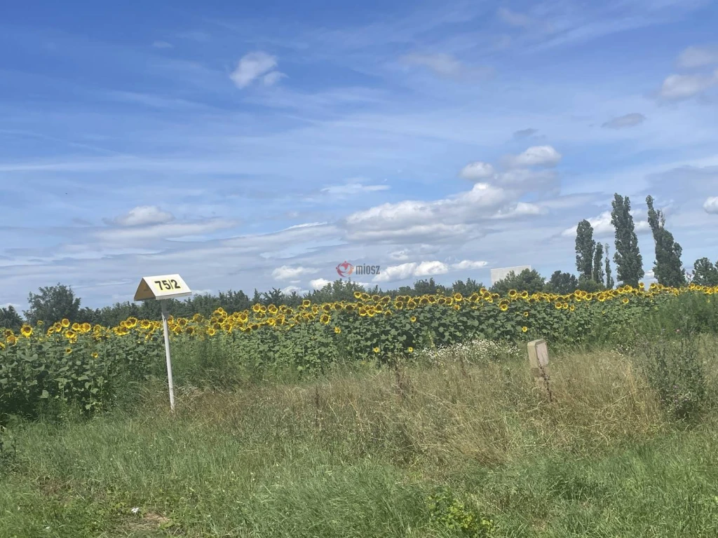 c3-1-name c2-84-name, Székesfehérvár, Déli ipari zóna