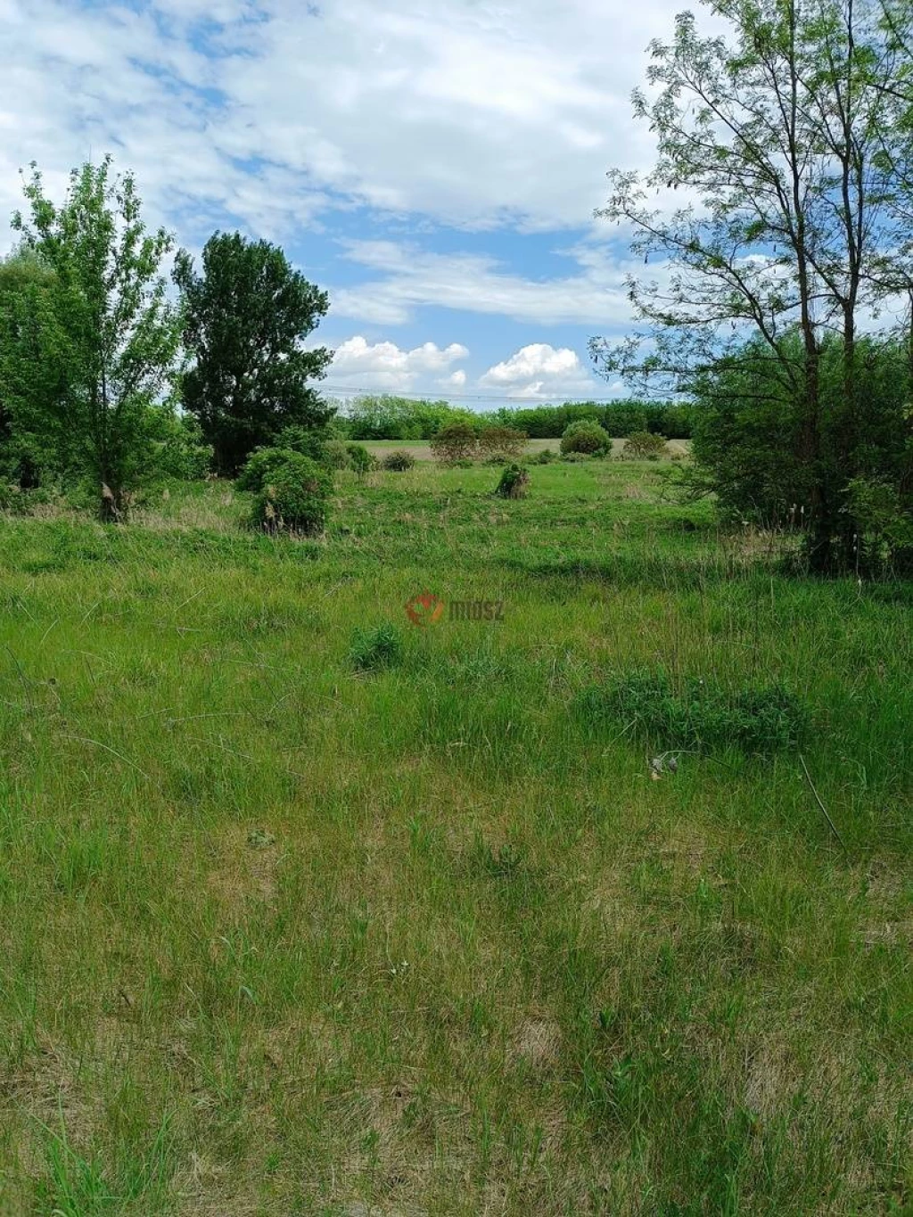 c3-1-name c2-50-name, Őrbottyán, Nincs megadva