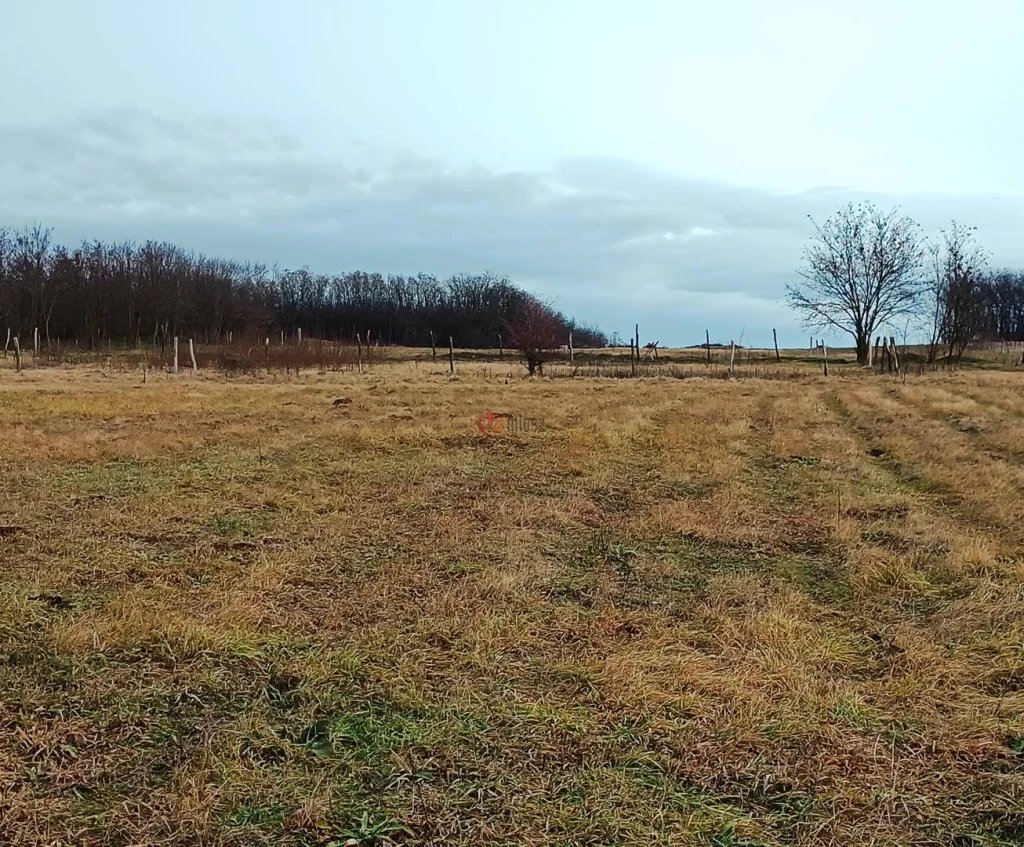 For sale building plot, Őrbottyán, Őrszentmiklós