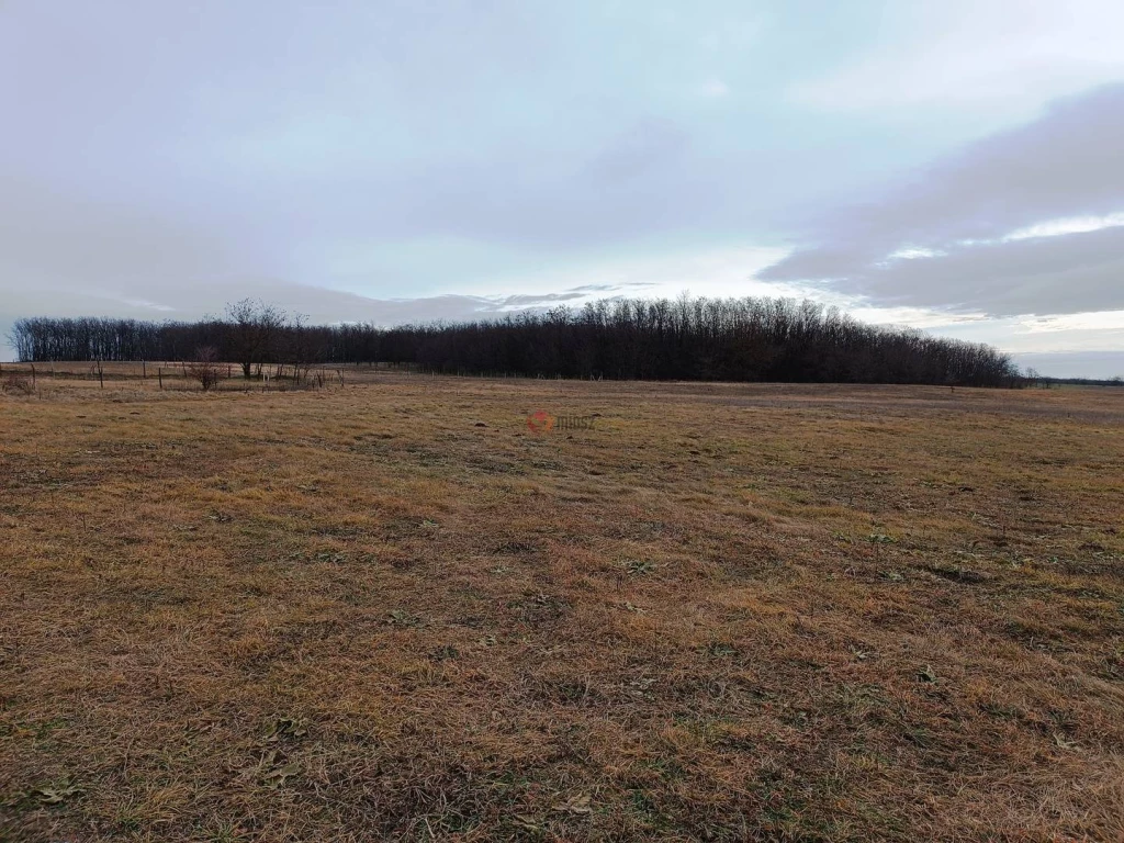 For sale building plot, Őrbottyán, Nincs megadva