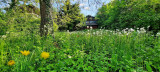 For sale building plot, Verőce, Verőce ófalu